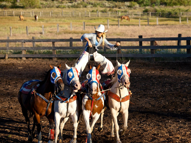 Girl riding four horses at a Rodeo
